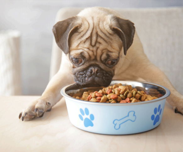 Sniffs and inspects their food first