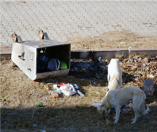 Knock over the trash can