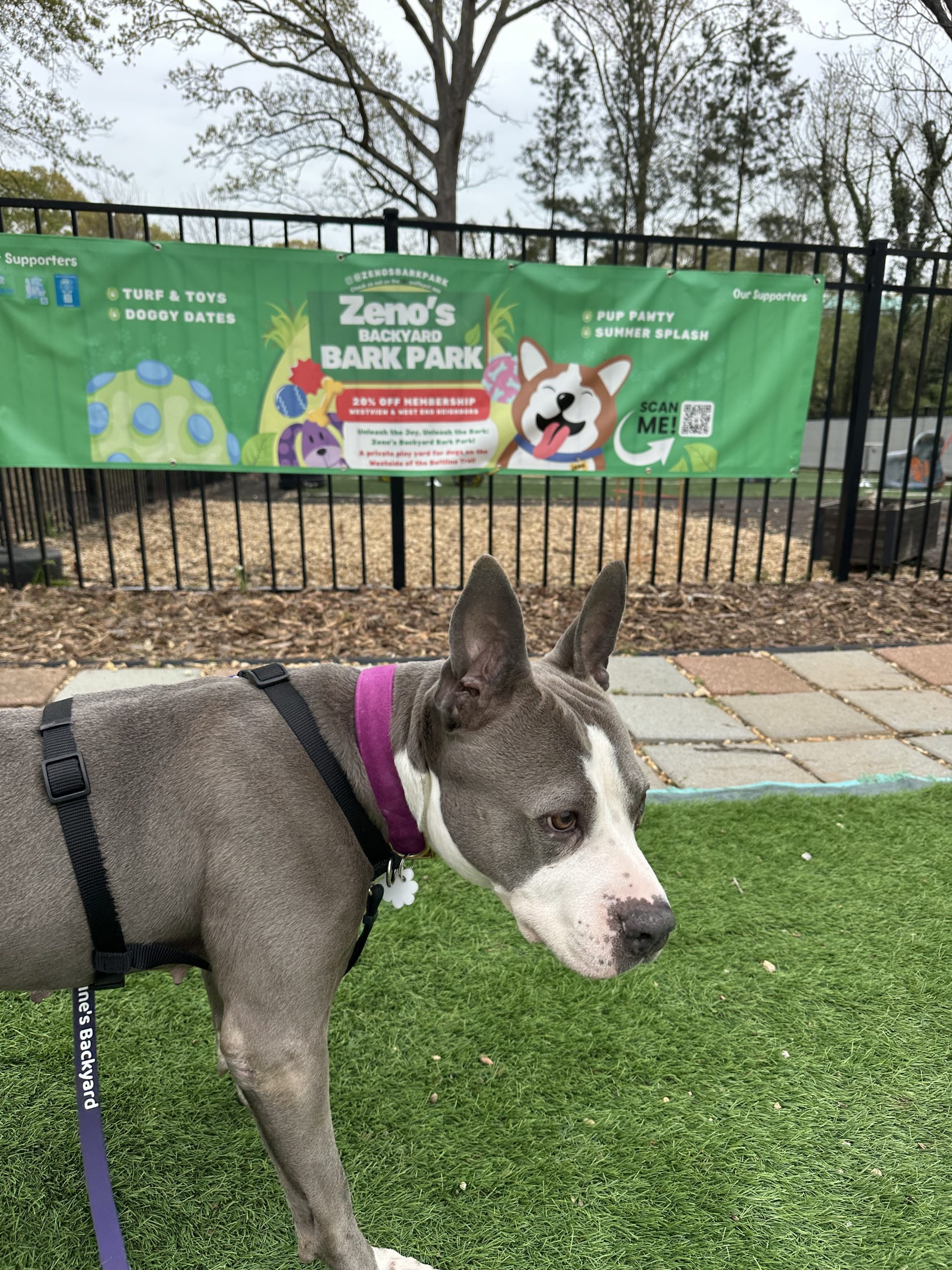 6 Best Sniffspots in and Around Atlanta