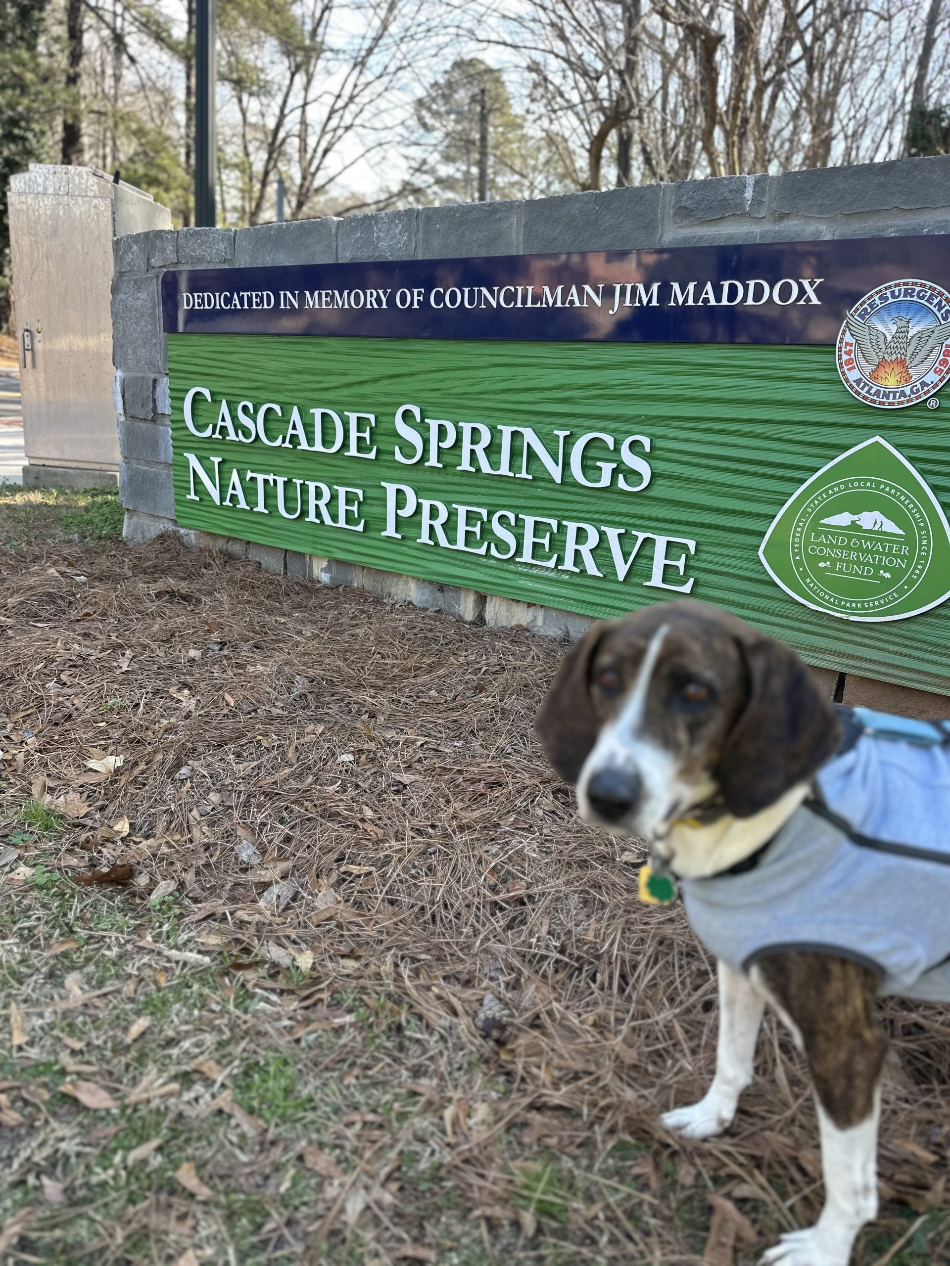 The 5 Best Dog Walking Trails in Atlanta