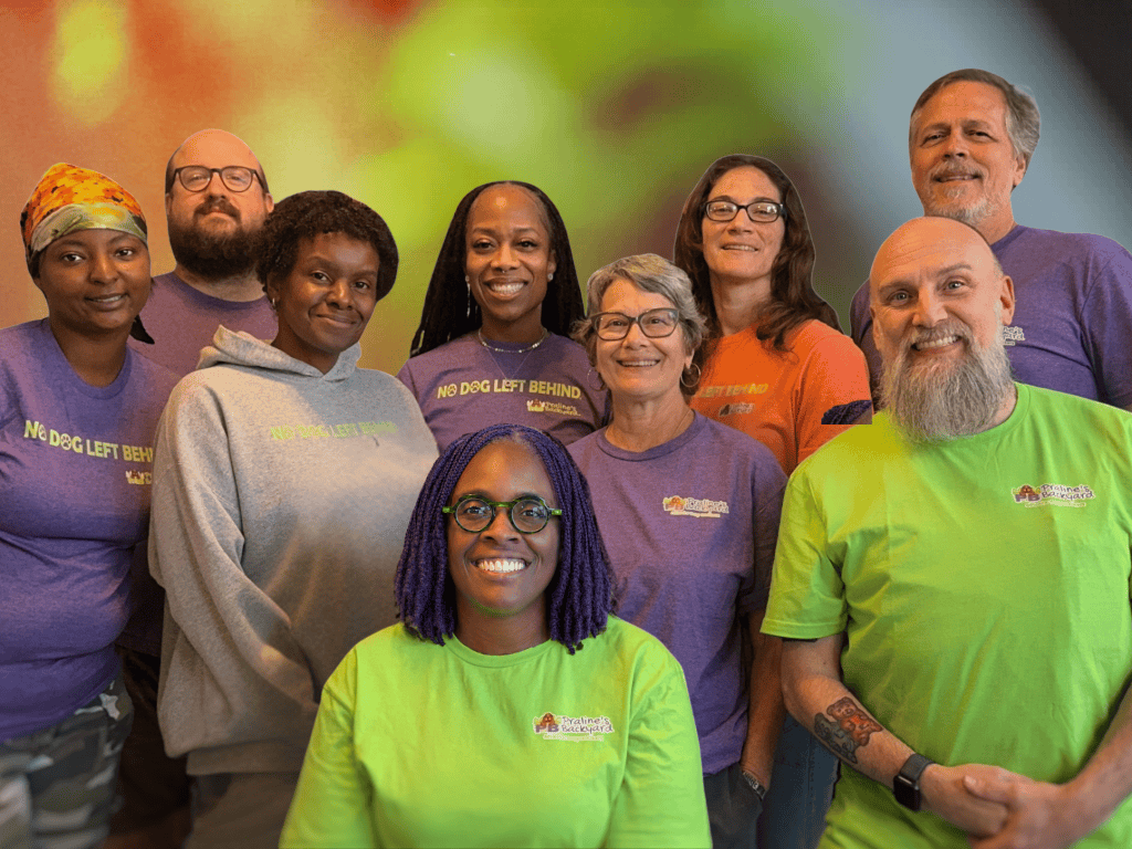 The Praline's Backyard team of Canine Enrichment Specialists in their purple, green and orange team shirts