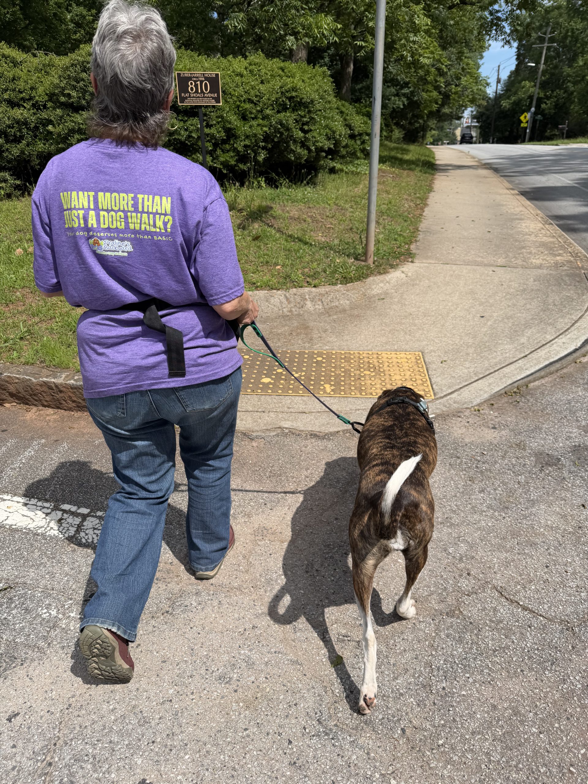 Neighbor, Stranger, or Atlanta Dog Walking Professional?