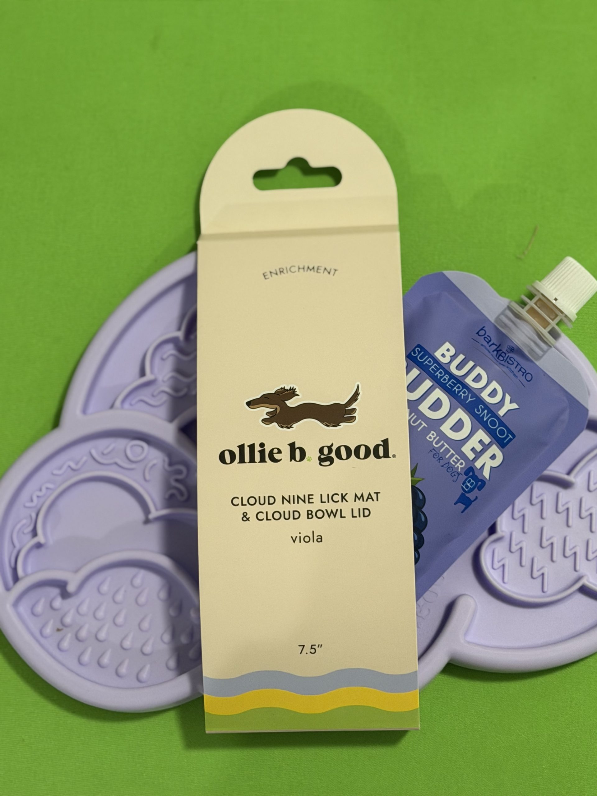 Enrichment-focused dog walking in Atlanta by Praline's Backyard Dog Services