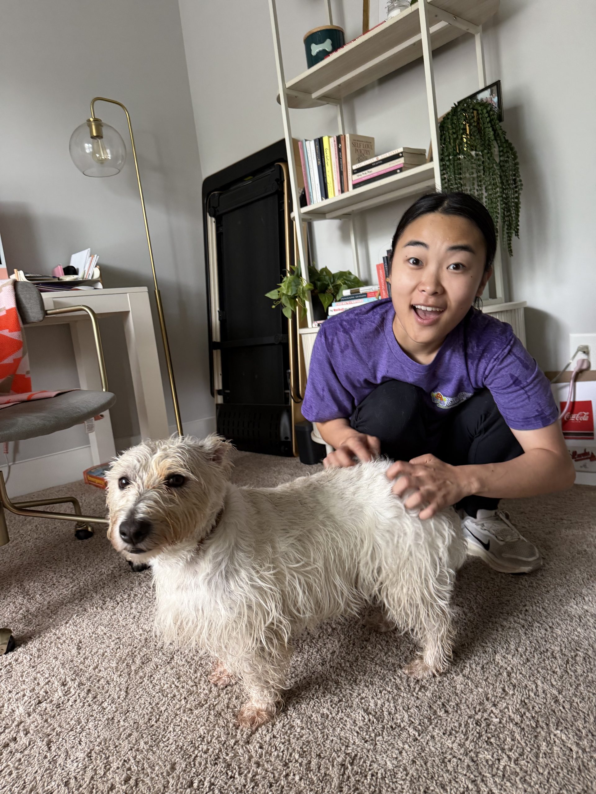A dog settled at home during an overnight pet sitting stay in Atlanta with their Canine Enrichment Specialist